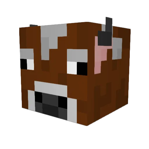 DoubleParadiddle Minecraft avatar head, 3D render