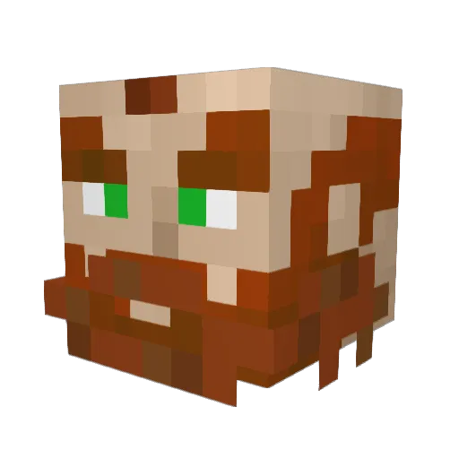 DoubleSkill Minecraft avatar head, 3D render