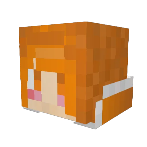 DoubleSuger Minecraft avatar head, 3D render