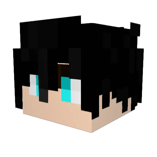 DoubleWings Minecraft avatar head, 3D render