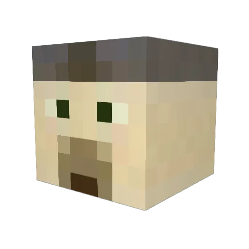 DoubleYouilson Minecraft avatar head, 3D render