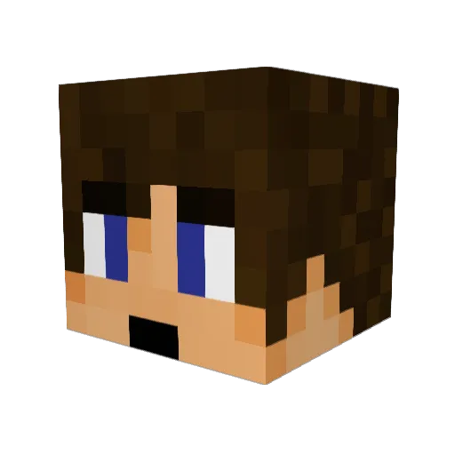 DoubleZMAN Minecraft avatar head, 3D render