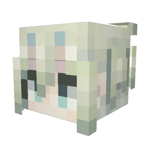 Double_17 Minecraft avatar head, 3D render
