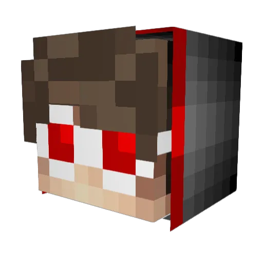 Double_Jay1 Minecraft avatar head, 3D render