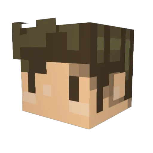 Double_Points Minecraft avatar head, 3D render