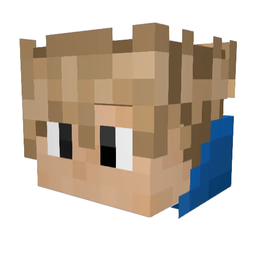 Double___A Minecraft avatar head, 3D render