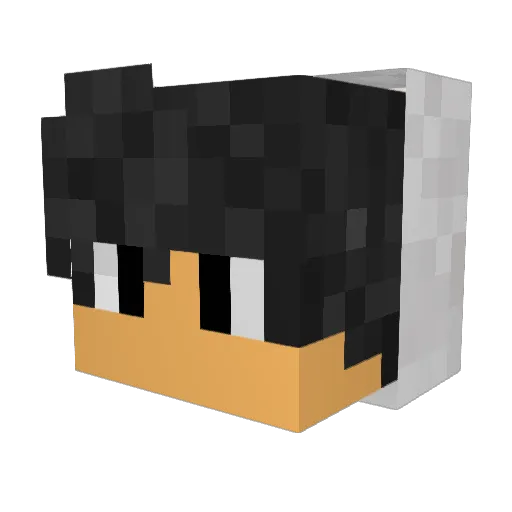DoubledCup Minecraft avatar head, 3D render