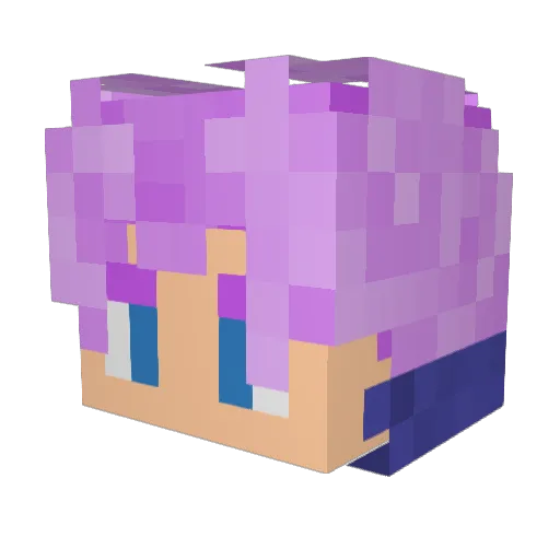 Doubledavid Minecraft avatar head, 3D render