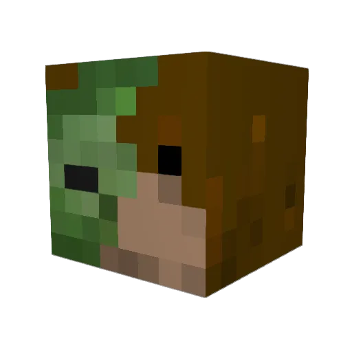 Doublejjh Minecraft avatar head, 3D render