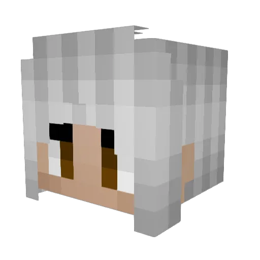 Doublemint11 Minecraft avatar head, 3D render
