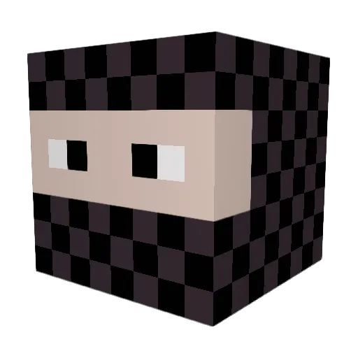 Doubloonz Minecraft avatar head, 3D render
