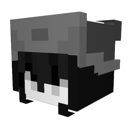 DoubtfulEzra Minecraft avatar head, 3D render