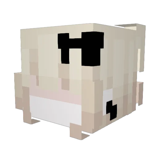 Doubtoooo Minecraft avatar head, 3D render