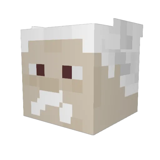 DougDommadome Minecraft avatar head, 3D render