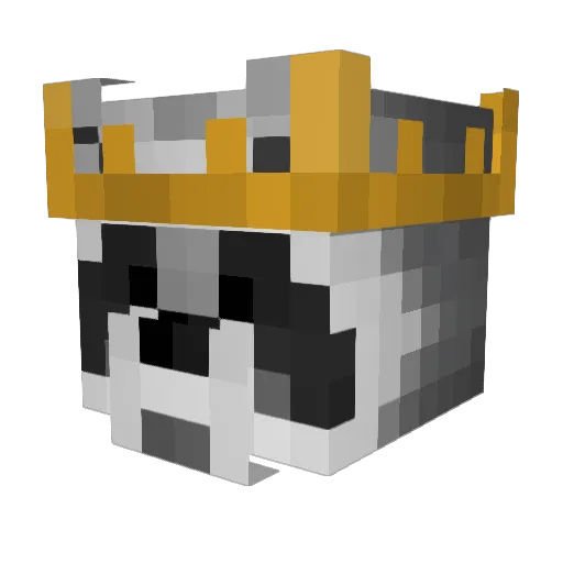 DougRaccooon Minecraft avatar head, 3D render
