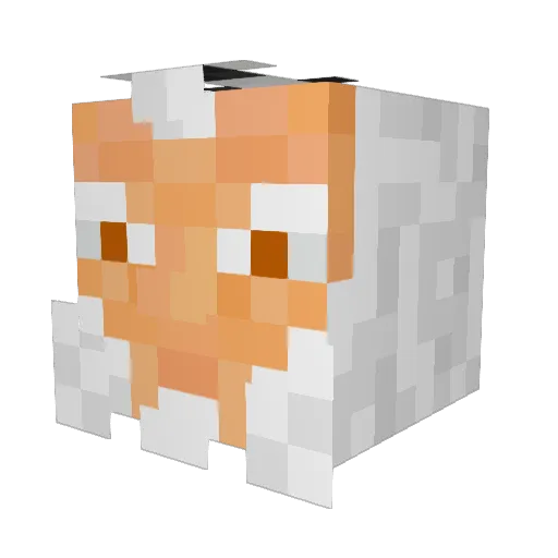 Dougery10 Minecraft avatar head, 3D render