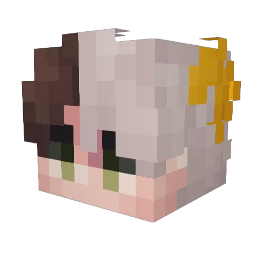 DoughXpickles Minecraft avatar head, 3D render