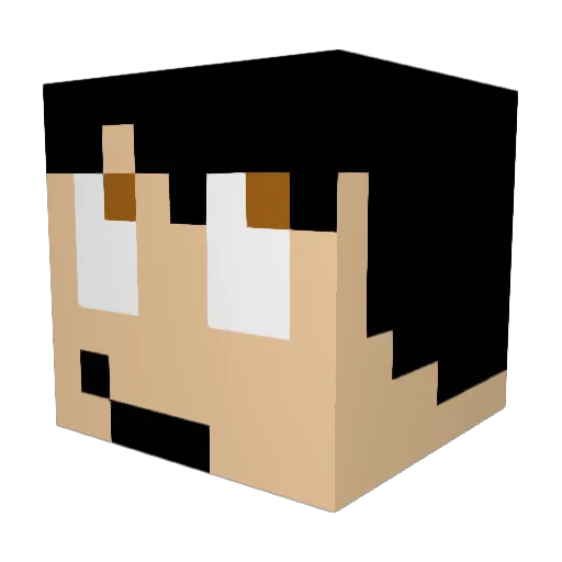 Doughman9623 Minecraft avatar head, 3D render