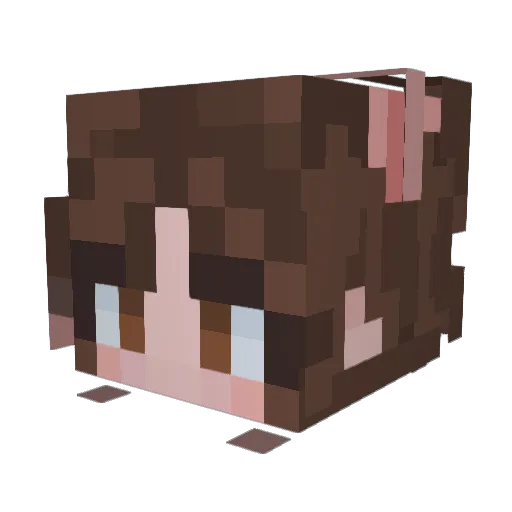 DoughnutLuver_55 Minecraft avatar head, 3D render