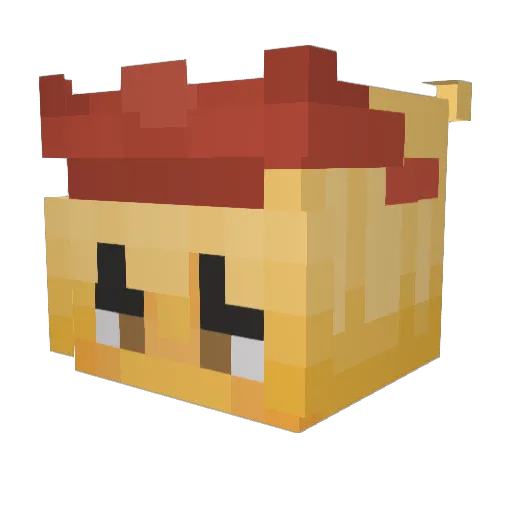 Doughnut_MC Minecraft avatar head, 3D render