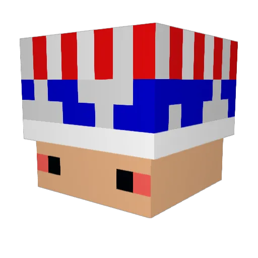 Doughnutze Minecraft avatar head, 3D render