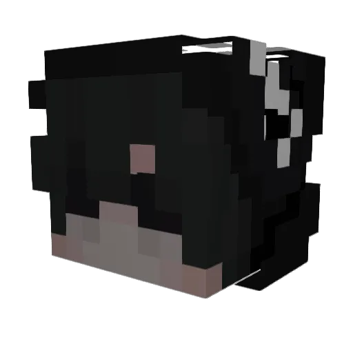 Dougi Minecraft avatar head, 3D render