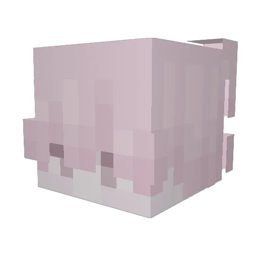 DougyPowr Minecraft avatar head, 3D render
