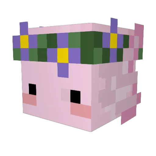Doukuna Minecraft avatar head, 3D render
