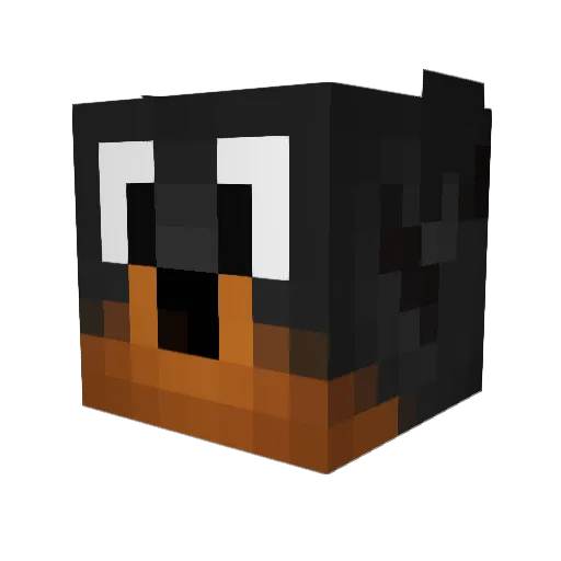DountTheDog Minecraft avatar head, 3D render
