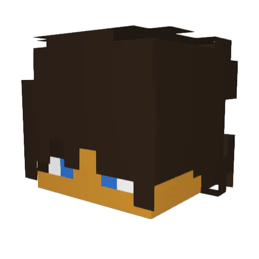 DoutorBicoitinho Minecraft avatar head, 3D render