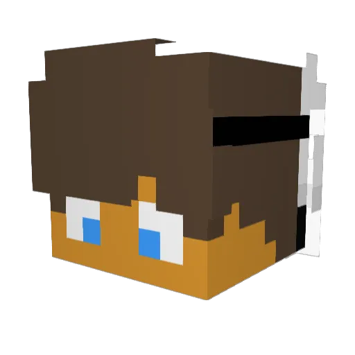 DoutorBicoito Minecraft avatar head, 3D render