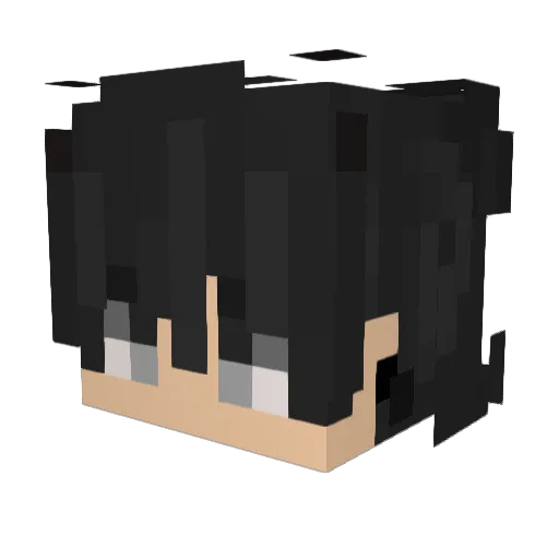DoutorCookies Minecraft avatar head, 3D render