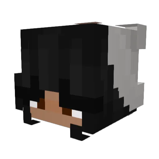 Doutrix Minecraft avatar head, 3D render