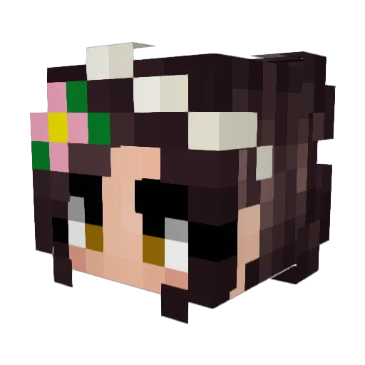 Dovana Minecraft avatar head, 3D render