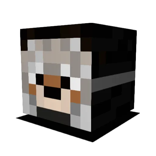Dove45 Minecraft avatar head, 3D render