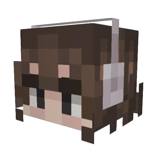 Doverine Minecraft avatar head, 3D render