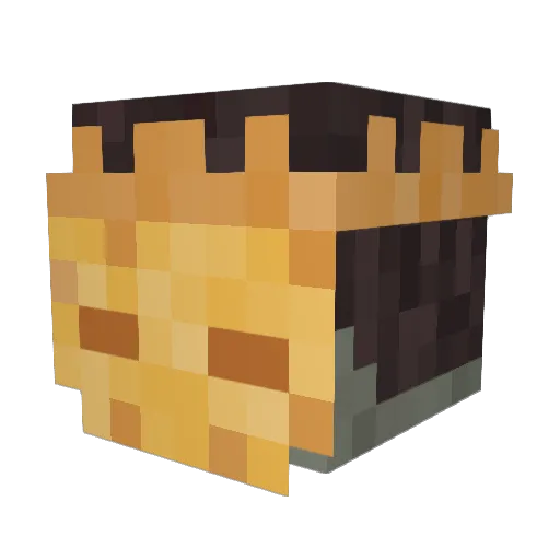 Doviculus22 Minecraft avatar head, 3D render