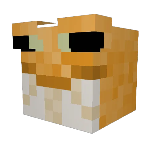 Dowda_ Minecraft avatar head, 3D render