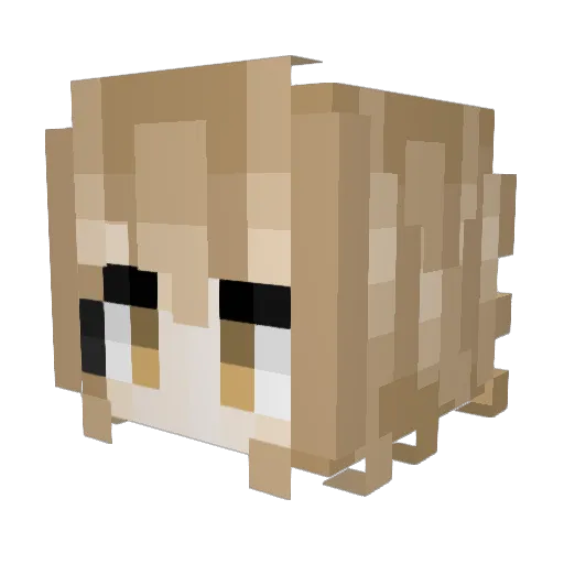 Dowhatyougottado Minecraft avatar head, 3D render