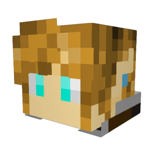 DownLink14 Minecraft avatar head, 3D render