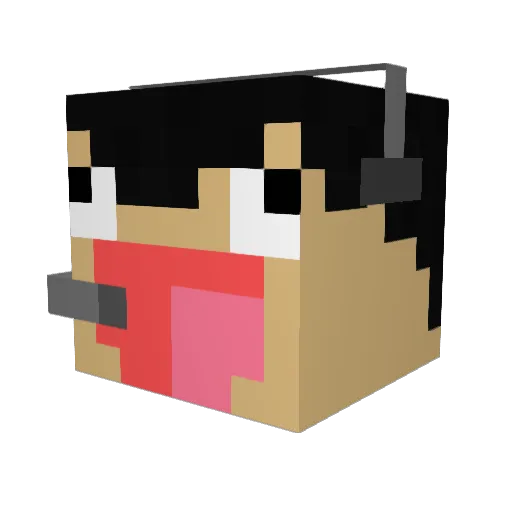 DownTown603 Minecraft avatar head, 3D render