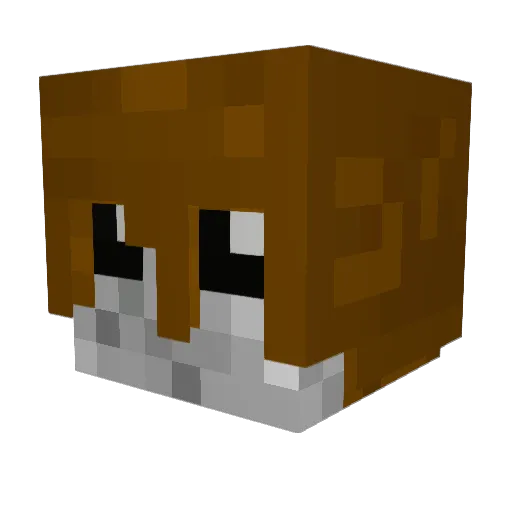 DownieFish Minecraft avatar head, 3D render