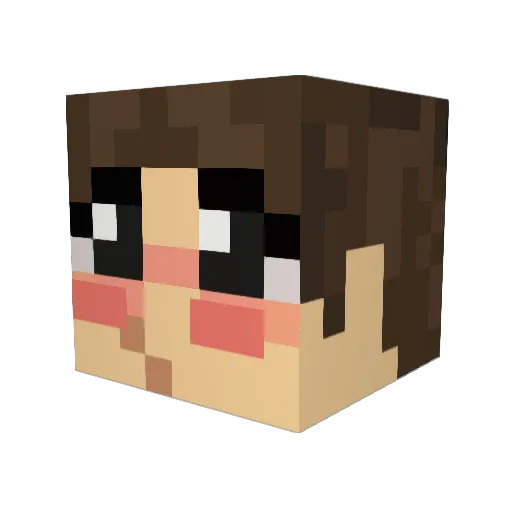DownsitoDown Minecraft avatar head, 3D render