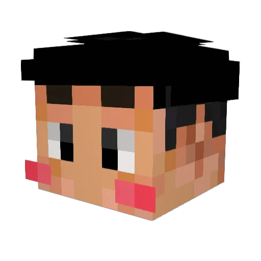 Dowonny Minecraft avatar head, 3D render
