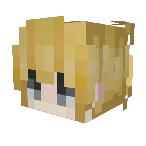 Dox Minecraft avatar head, 3D render