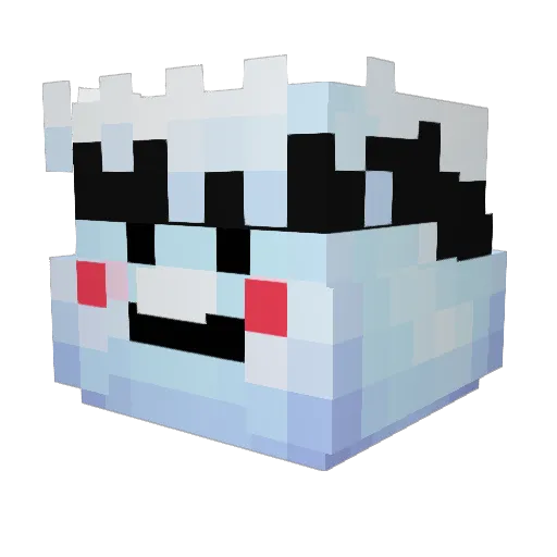 Doxbr Minecraft avatar head, 3D render