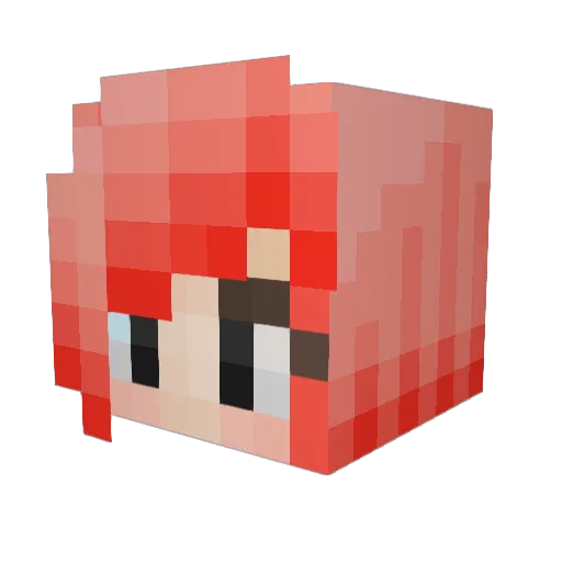 Doxian Minecraft avatar head, 3D render