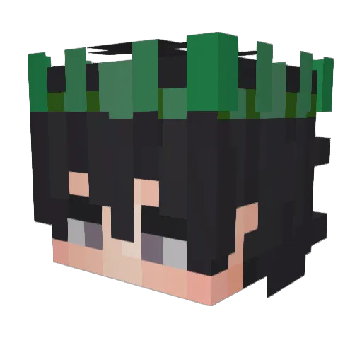Doxria Minecraft avatar head, 3D render