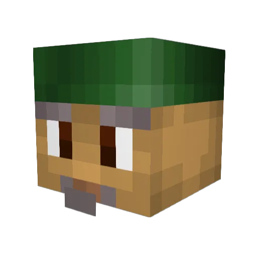 Doxxpara Minecraft avatar head, 3D render