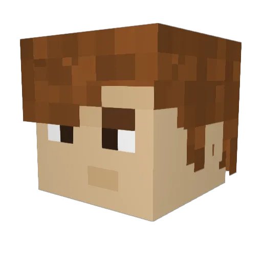 Doyley22 Minecraft avatar head, 3D render